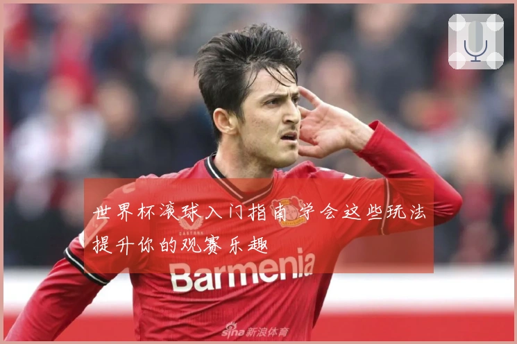 世界杯滚球入门指南 学会这些玩法提升你的观赛乐趣