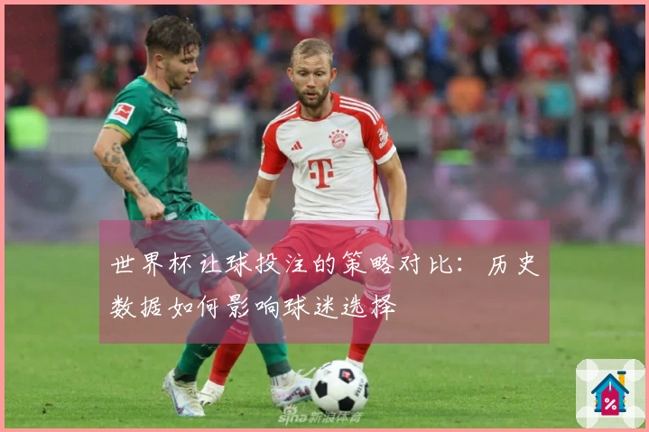 世界杯让球投注的策略对比：历史数据如何影响球迷选择