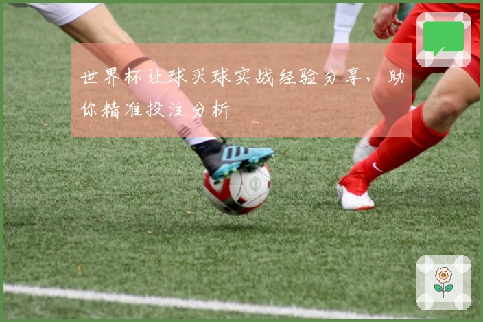 世界杯让球买球实战经验分享，助你精准投注分析